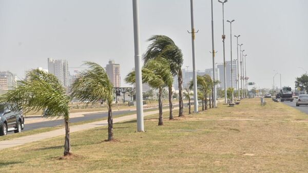 Meteorología alerta sobre ráfagas de viento norte moderadas a fuertes