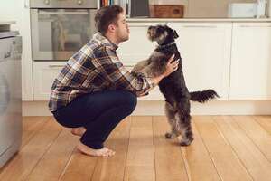 ¿Los perros entienden cuando se les habla? - Mascotas - ABC Color