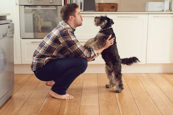 ¿Los perros entienden cuando se les habla? - Mascotas - ABC Color