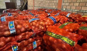 DNIT incautó 30 mil kilos de cebolla y abre sumario por presunto contrabando