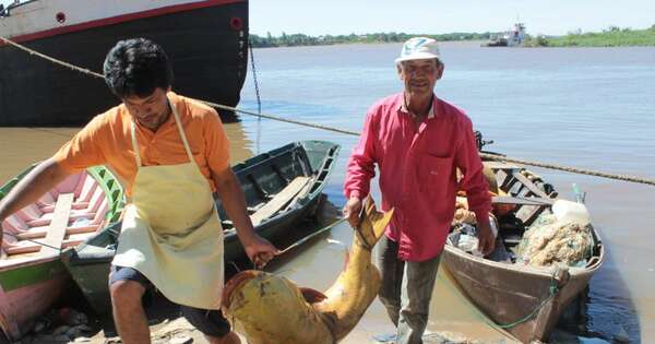 Diario HOY | Más de 7.590 pescadores recibirían el subsidio durante la veda