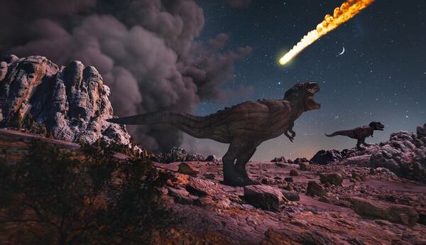 Los dinosaurios eran muy diversos y variados antes de extinguirse por un meteorito - Ciencia - ABC Color