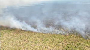 Incendio forestal afectó más de 23.000 hectáreas en Bahía Negra