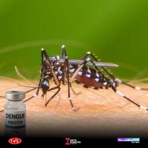 MSPBS ANUNCIA EL INICIO DE LA VACUNACIÓN CONTRA EL DENGUE EN NOVIEMBRE - «TVS DIGITAL»