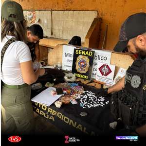 IMPORTANTE OPERATIVO ANTIDROGAS EN ENCARNACIÓN: ALLANAMIENTO Y VERIFICACIÓN EN LA FERIA “LA PLACITA” - «TVS DIGITAL»