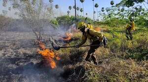 Más de 23.000 hectáreas afectadas por incendios en el Chaco