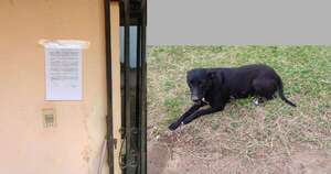 Diario HOY | Rescatan a perro abandonado por familia que viajó a España