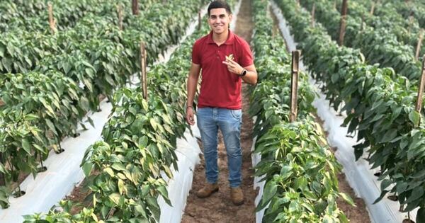 La Nación / Emprendedor sampedrano mueve G. 300 millones en tres meses gracias al programa Hambre Cero