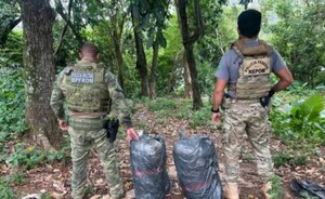 Incautan más de 92 kilos de marihuana en la frontera con Paraguay 