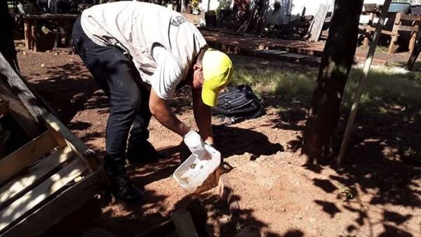 Dengue: Salud registra más de 300 casos sospechosos por semana