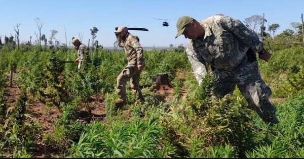 La Nación / Nueva Alianza: golpe de USD 44 millones a narcos