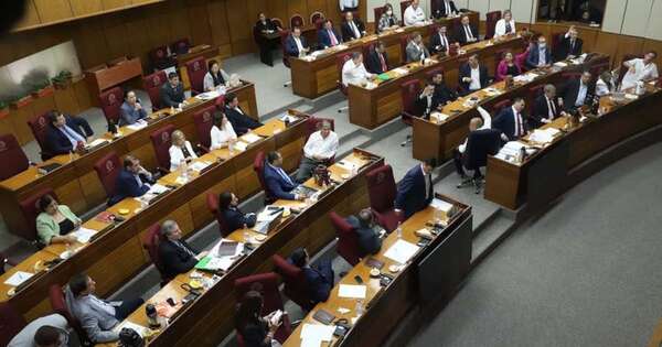 La Nación / Piden excluir a activistas dentro de ley de protección