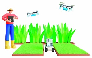 Maíz Récord 2025: La producción agrícola impulsa la economía