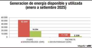 Usamos solo 33% del total - Económico - ABC Color