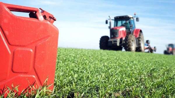 Paraguay podría ahorrar hasta US$ 300 millones al año al potenciar el biodiésel - Económico - ABC Color
