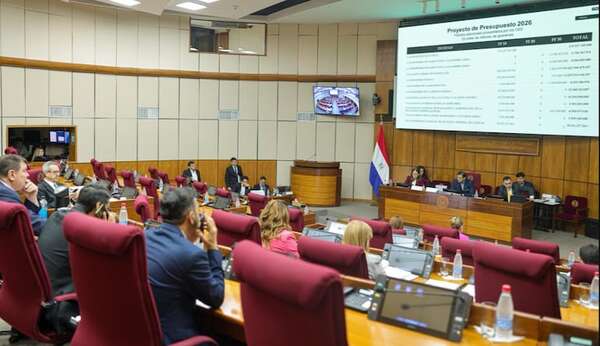 PGN 2026: pedidos adicionales por US$ 200 millones esperan la decisión de la comisión bicameral - Economía - ABC Color