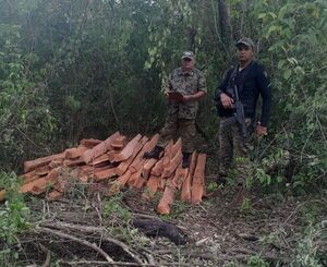 Intervienen por tala ilegal en zona protegida de Sargento José Félix López - Concepción al Día