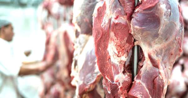 La Nación / Mejor precio de la carne magra en EE. UU. genera expectativas positivas para Paraguay