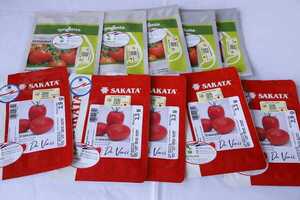 MAG Lanza Plan nacional “Cultivar Tomate 2025-2026”