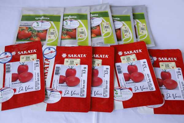 MAG Lanza Plan nacional “Cultivar Tomate 2025-2026”