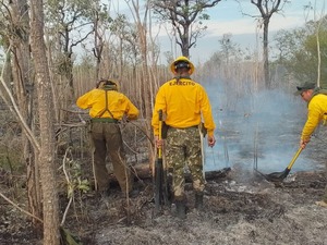 Incendio en el Chaco fue sofocado: arrasó con 24.700 hectáreas