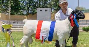 La Nación / Vitrina genética: Segunda Nacional Dorper contó con la participación de más de 300 ejemplares