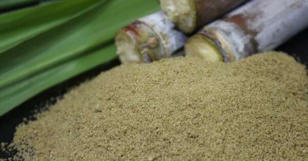 La Nación / Industria apuesta por recuperar liderazgo en producción y exportación de azúcar orgánica