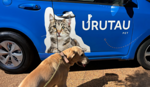 ¿Taxi para mascotas? Urutau Pet pone a los animales de compañía en el centro de la movilidad urbana