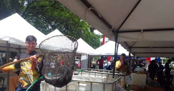 La Nación / La feria de piscicultores concluyó con total éxito