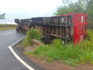 Cinco vacunos mueren tras vuelco de camión transganado en Paso Tuya