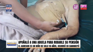 Apuñaló a una abuela para robarle su pensión