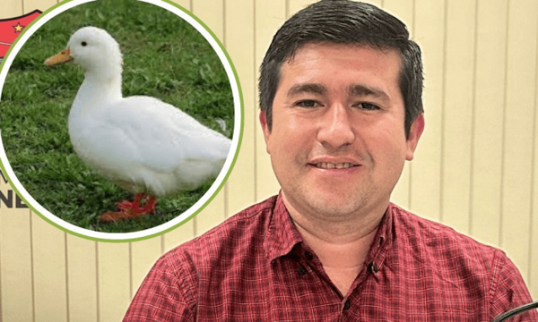 Proponen declarar el 21 de octubre como “Día del Pato” en Coronel Oviedo - Noticiero Paraguay