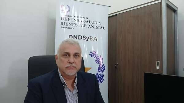 Insisten con cuidados a gatos negros en época de Halloween - Nacionales - ABC Color