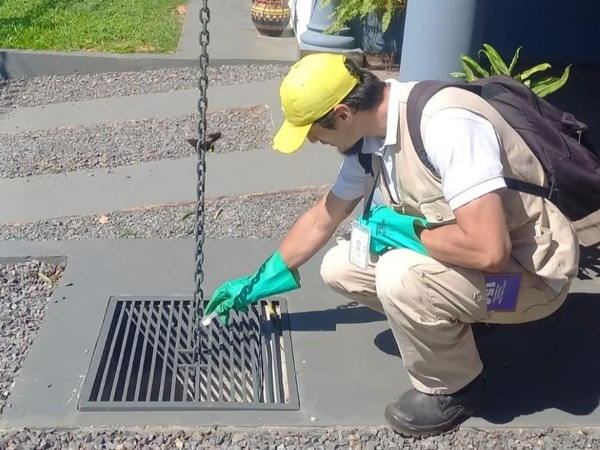 El dengue ronda y advierten de una eventual epidemia - ADN Digital