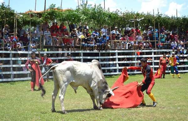 Piden declarar la corrida de toros como patrimonio cultural y crear el “Día del Torero” - Política - ABC Color