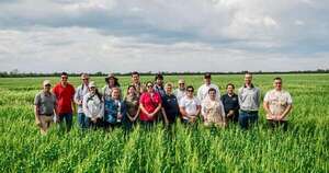 Diario HOY | FAO reconoce a Paraguay por sus buenas prácticas en sistemas agroalimentarios sostenibles