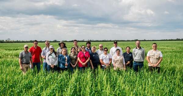 Diario HOY | FAO reconoce a Paraguay por sus buenas prácticas en sistemas agroalimentarios sostenibles