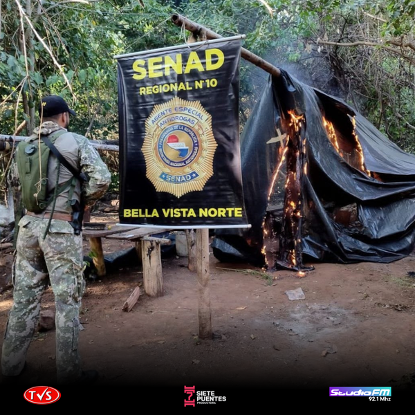 SENAD GOLPEA AL NARCOTRÁFICO CON MÁS DE USD 12 MILLONES EN PÉRDIDAS EN UNA SEMANA - «TVS DIGITAL»