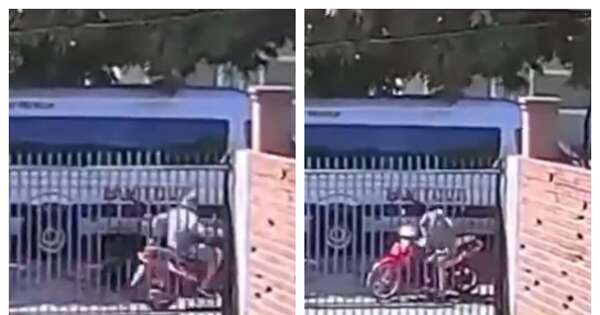 La Nación / Piden ayuda ciudadana para hallar a agresor de un perro en San Estanislao