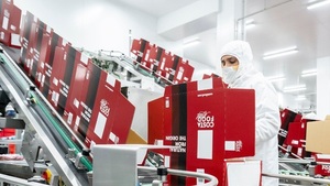 Grupo Costa de España invertirá US$ 300 millones en producción de carne porcina