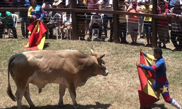 Piden declarar al “Torín” como patrimonio cultural del Paraguay - OviedoPress