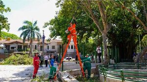 Luis Bello impulsa la recuperación de la Plaza Naciones Unidas tras tres años de abandono