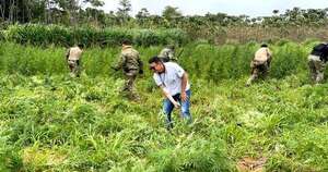 La Nación / Hallan laboratorio de narcoinvasores