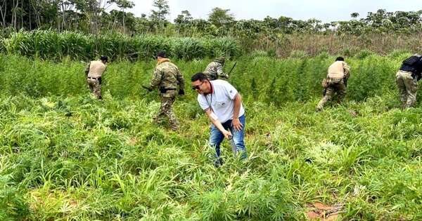 La Nación / Hallan laboratorio de narcoinvasores