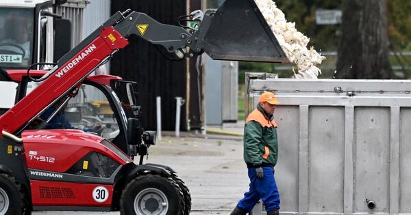 La Nación / Alemania sacrifica medio millón de aves por gripe aviar