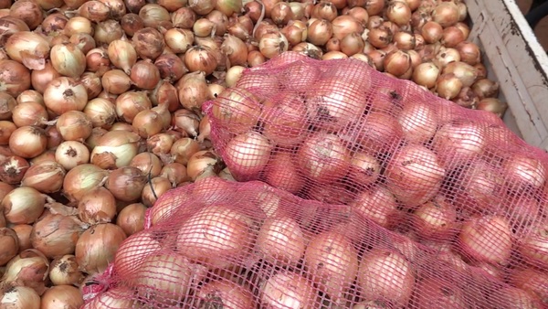 DNIT explica operativos reiterados con los mismos productores de cebollas