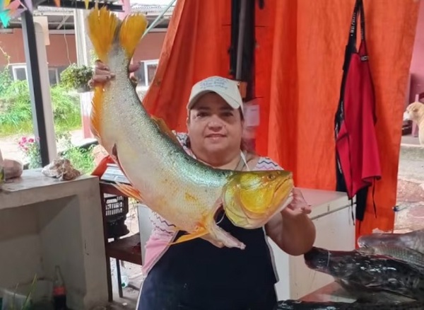 Pescaderías del Remanso bajan precios antes del inicio de la veda