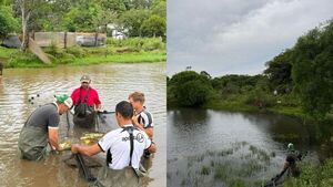 Carmen del Paraná aporta al Programa de Fauna Íctica de la EBY con donación de ejemplares de pacú