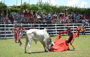 Toreros piden declarar la corrida de toros como patrimonio cultural y crear el “Día del Torero”