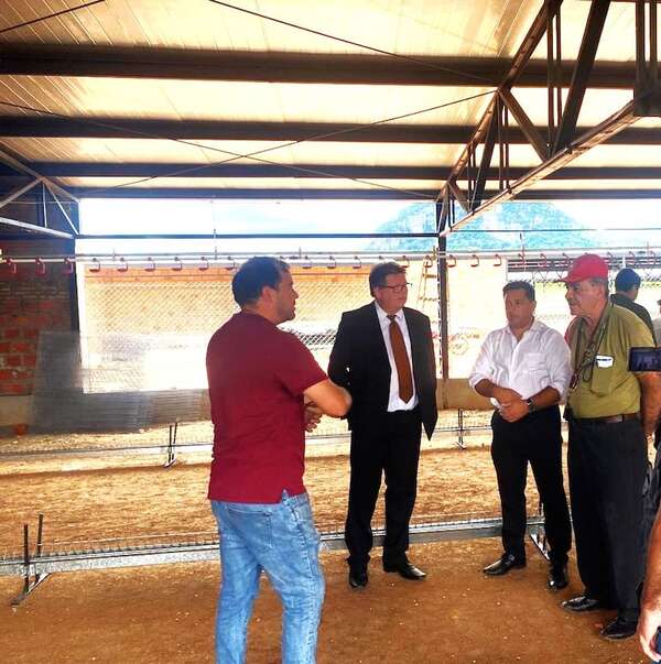 Fiscalía de Paraguarí interviene en construcción de futura granja avícola en zona urbana - Nacionales - ABC Color